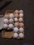 Яйца от пуйки , снимка 1 - Кокошки и пуйки - 45477441