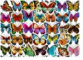 50 бр Пеперуди самозалепващи лепенки стикери за украса декор картонена торта и др, снимка 1