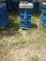 спешно продавам пчелни семейства в нови кошери.