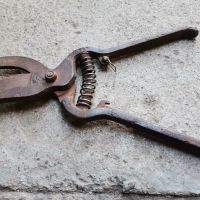 Стара лозарска ножица, снимка 2 - Антикварни и старинни предмети - 45117302