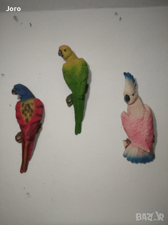 Декоративни папагали , снимка 1