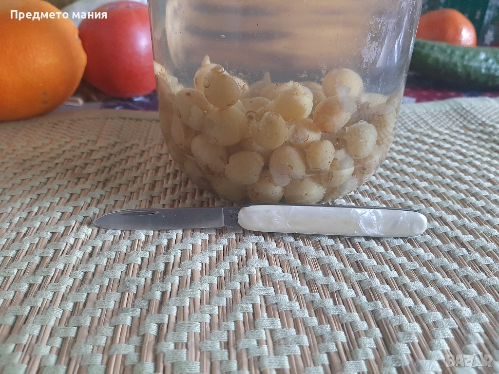 Малко сгъваемо ножче – Made in Germany, снимка 1