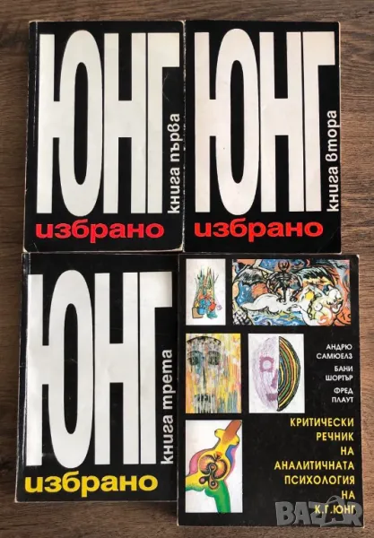 Юнг Избрано Книга 1,2,3 + Критически речник на аналитичната психология на К.Г.Юнг А.Самюелз Б.Шортър, снимка 1