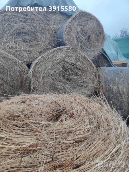 Рулонни бали, снимка 1