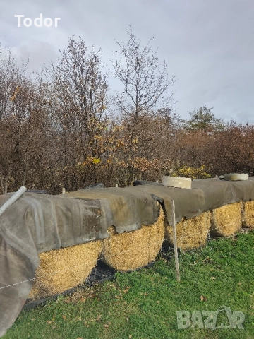 Продавам рулонни бали смес от сено и люцерна , снимка 2 - За селскостопански - 52475325