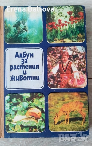 🍃💜   Албум за растения и животни  299стр. 1976г