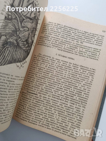Анатомия 1947г, снимка 9 - Специализирана литература - 54030750