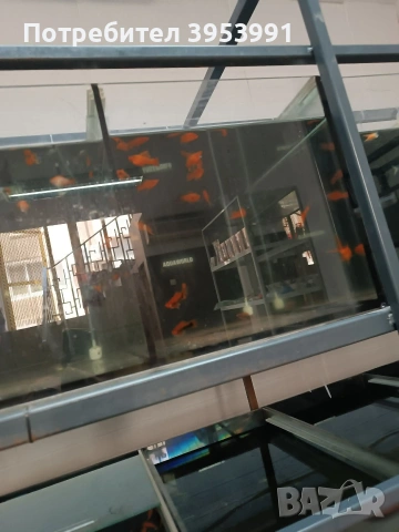 продавам стилаж с 4 аквариума на 3 разделени , снимка 2 - Аквариуми - 54217688