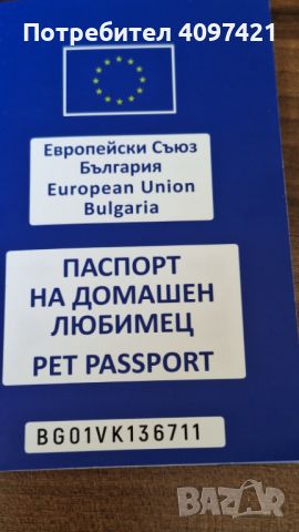 АМЕРИКАНСКИ СТАФОРДШИР ТЕРИЕР, снимка 12 - Американски стафордширски териер - 45729835