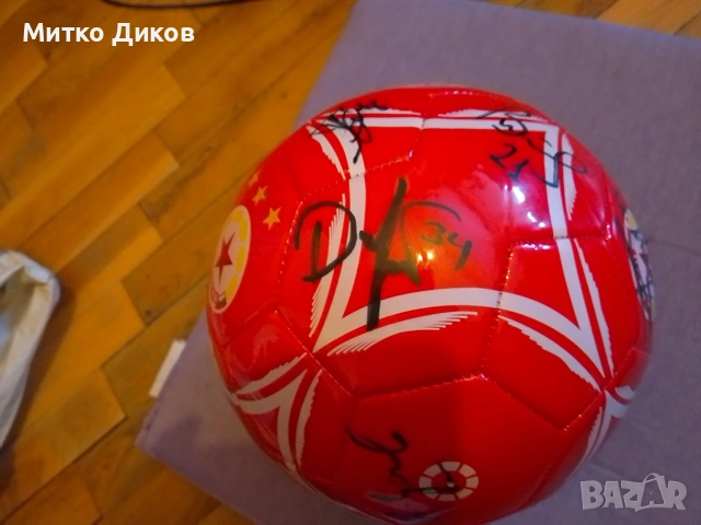ЦСКА София 2014 г. колекционерска топка с автографи, снимка 6 - Футбол - 53902317