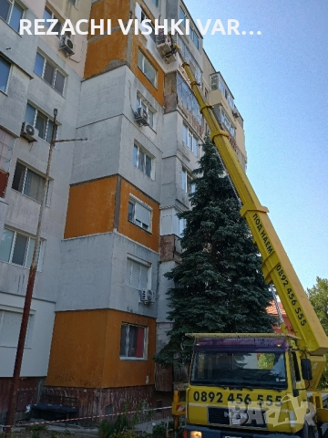 АВТОВИШКА ДО 30 М ВАРНА, КАСТРЕНЕ И ПРЕМАХВАНЕ НА ОПАСНИ ДЪРВЕТА, ПОЧИСТВАНЕ НА ПОЗЕМЛЕНИ ИМОТИ, снимка 3 - Автопарк - 52417795