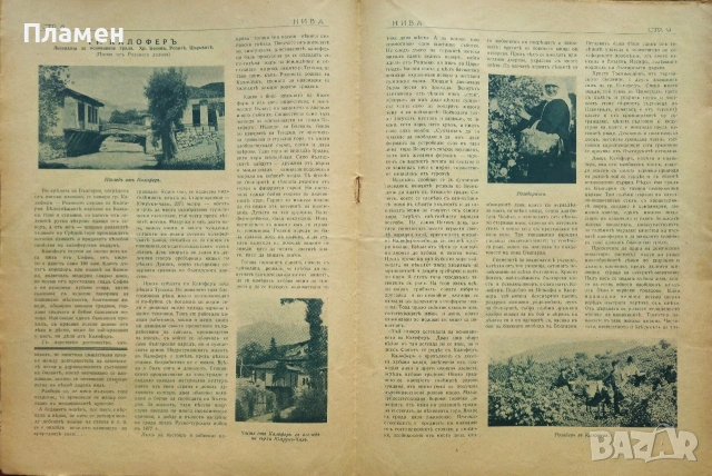 Нива. Бр. 7 / 1931, Бр. 14, 19, 20, 21, 22, 23, 25, 27, 29, 30, 31 / 1932, снимка 15 - Антикварни и старинни предмети - 53959601