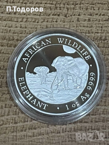 НОВО! Сребро 1 oz Сомалийски Слон 2026, снимка 3 - Нумизматика и бонистика - 52442585