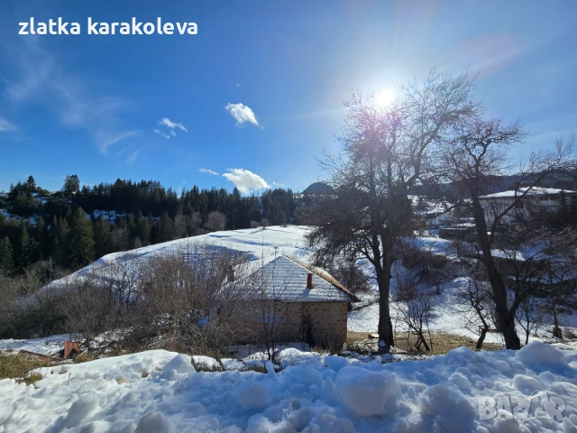 Продава се къща с имот в с. Гела, снимка 11 - Къщи - 53756750