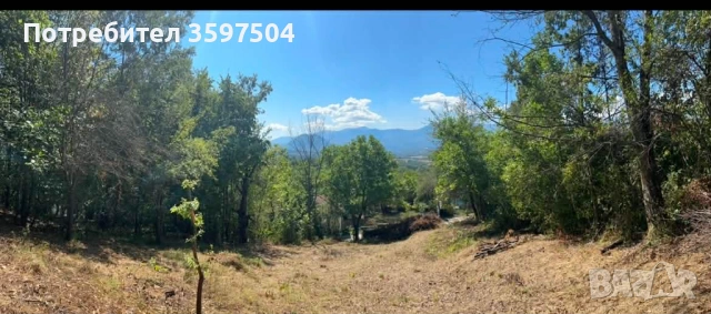 Парцел в Априлци 1000 м2, снимка 10 - Парцели - 52396292
