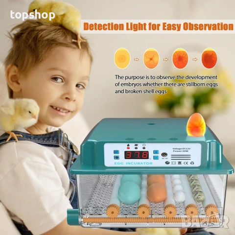 НОВ Auveach Автоматичен инкубатор за яйца Инкубатор за 16 кокоши яйца Автоматичен контрол..., снимка 5 - Други стоки за животни - 53186379