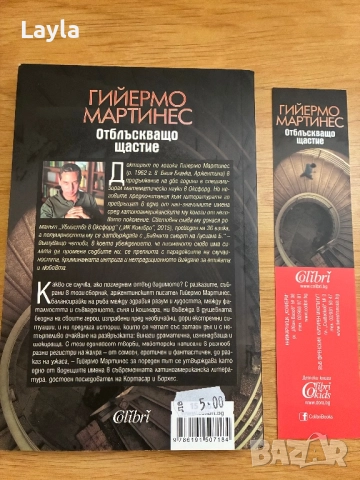 Отблъскващо щастие, снимка 2 - Художествена литература - 52989727