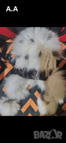 Зимни шапки от естествен косъм лисица по 80лв,нови, снимка 2 - Шапки - 52819055