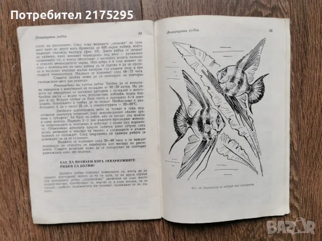 Аквариумни рибки-Г.Кондов-1991г., снимка 8 - Рибки - 49698717