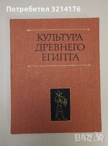 Культура древнего Египта - Колектив, снимка 1 - Специализирана литература - 47269565