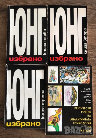 Юнг Избрано Книга 1,2,3 + Критически речник на аналитичната психология на К.Г.Юнг А.Самюелз Б.Шортър, снимка 1 - Специализирана литература - 47163660