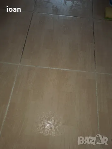 Професионално почистване. Дългогодишен опит в сферата., снимка 10 - Почистване на домове - 49854683