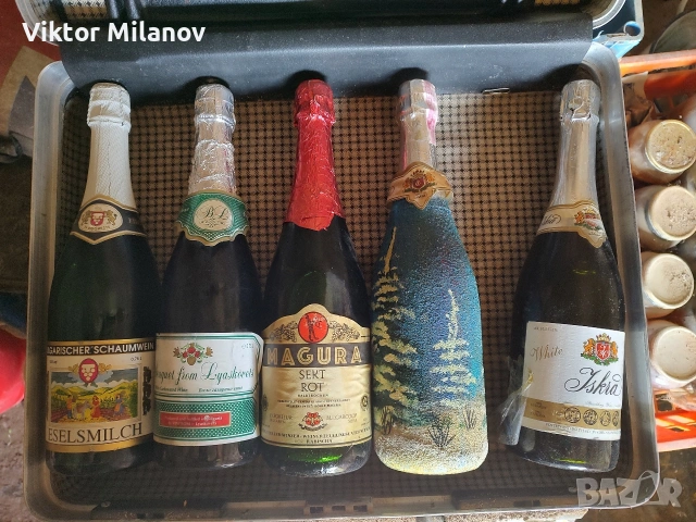 Стари бутилки с вино, снимка 14 - Антикварни и старинни предмети - 53897309