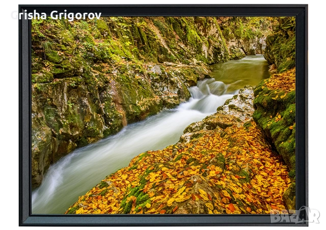 Картина от Родопите