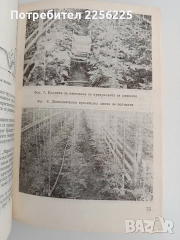 Производство на зеленчуци в оранжерии, снимка 2 - Специализирана литература - 51642396