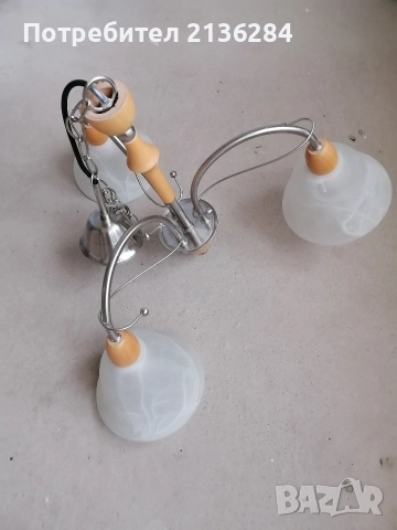 Полилей , снимка 2 - Полилеи - 52676019