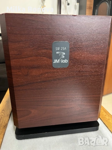 Focal JMLab SW A25, снимка 2 - Тонколони - 54022802