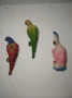 Декоративни папагали , снимка 1