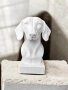 Dachshund Bust, снимка 2