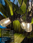 LONIUTO Водоустойчиви струнни светлини,захранвани от мрежата, 15м,ST38, снимка 5