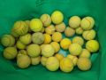 Употребявани тенис топки, снимка 1 - Тенис - 45144092