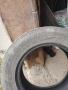 Летни гуми 225/65 R 17, снимка 1