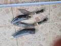 Нож, кумая, кама, кинжал, кукри, каракулак, снимка 4