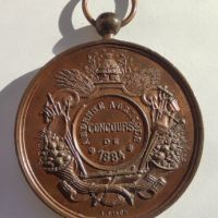 Красив медал "Concours Ardenne Agricole 1884 Ville de Stavelot", снимка 2 - Антикварни и старинни предмети - 45573504
