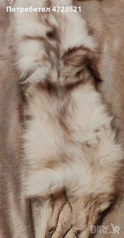 Разкошна сребърна лисица само за ценители , снимка 1