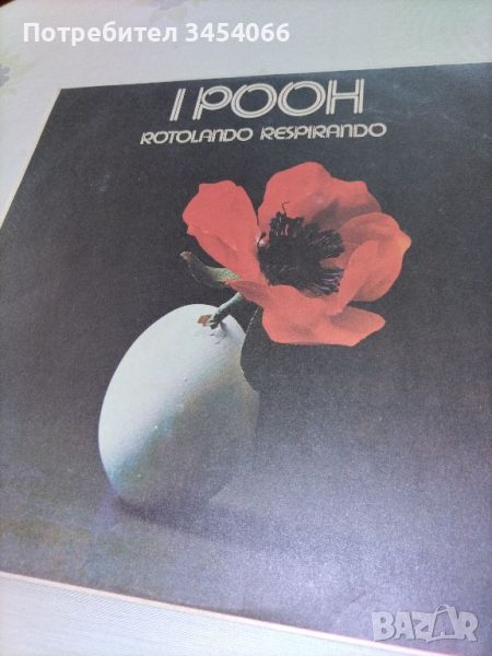 Грамофонни плочи. , снимка 1