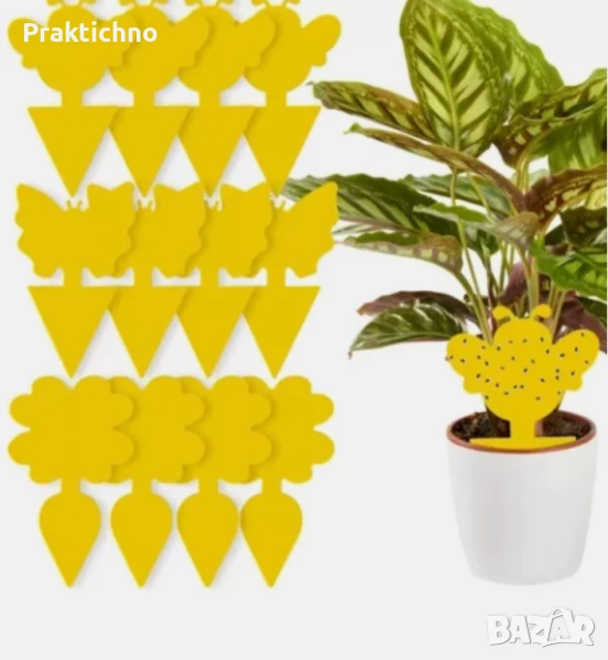 Лепило за насекоми – 12 броя в пакет, лепкави капани за насекоми , снимка 1