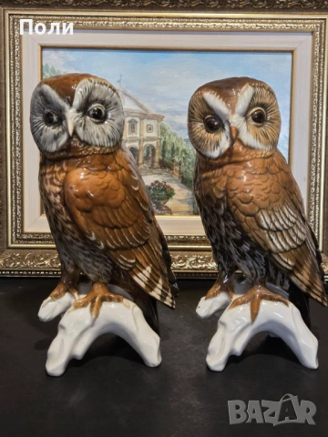 Порцеланова сова, Karl Ens, Turingen