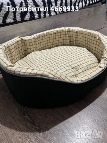 Чихуахуа , снимка 4 - Чихуахуа - 52668725