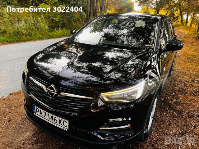 Opel Grandland X, снимка 1