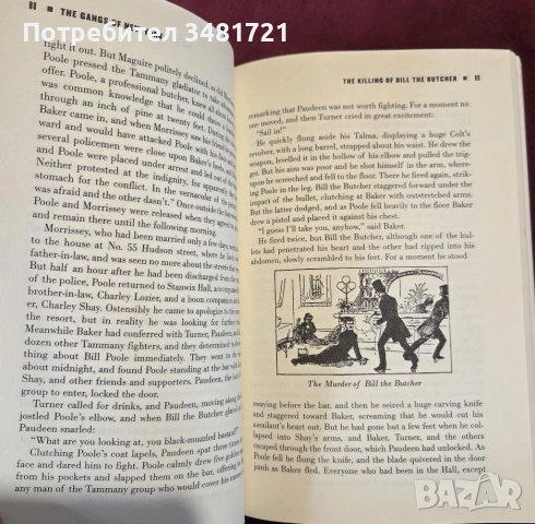 Бандите на Ню Йорк - неофициалната история на подземния свят / The Gangs of New York. An Informal Hi, снимка 5 - Художествена литература - 53748108