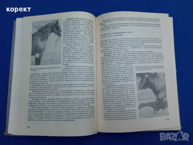 Частна хирургия при домашните животни , снимка 4 - Енциклопедии, справочници - 51185836
