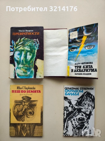 Превратности - Митко Яворски