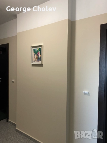 Боядисване на стени с латекс