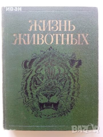 Енциклопедия "Жизнь животных" в седем тома, снимка 12 - Енциклопедии, справочници - 45322603