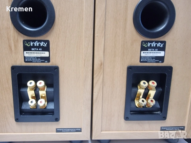 Тонколони INFINITY BETA 40, снимка 8 - Тонколони - 53020633